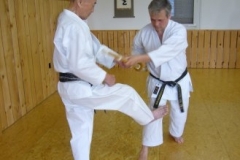 abeshihan_erwachsentraining_20100427_22