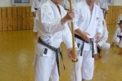 abeshihan_erwachsentraining_20100427_23