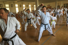 Gratis_Kata_Kurs_Ehrungen_WM2018_20