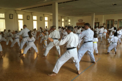 Gratis_Kata_Kurs_Ehrungen_WM2018_23