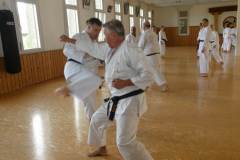 Karate30plus_2019_04