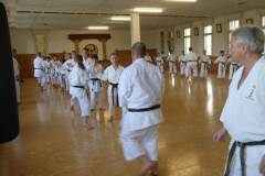 Lehrgang_Maeda_Shihan_19