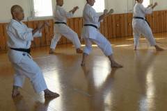 Lehrgang_Maeda_Shihan_25