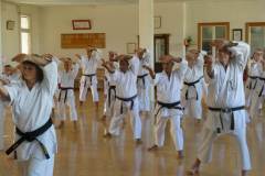 Lehrgang_Maeda_Shihan_28