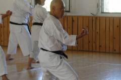 Lehrgang_Maeda_Shihan_31