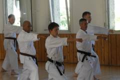 Lehrgang_Maeda_Shihan_35