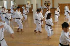 Lehrgang_Maeda_Shihan_36